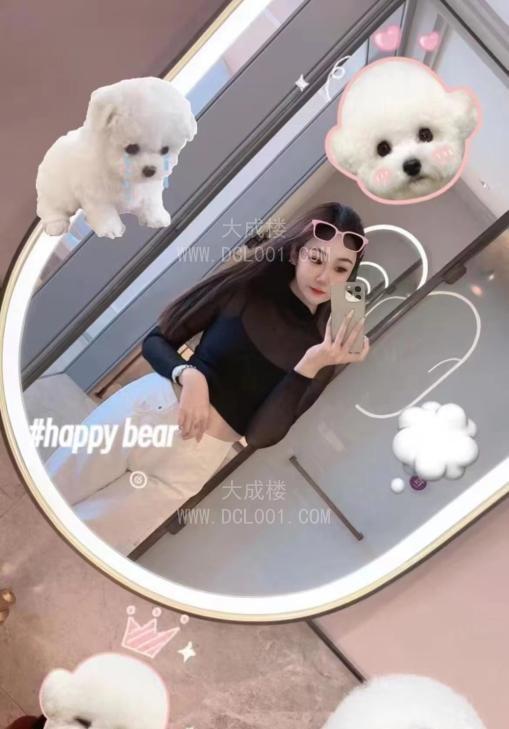 丰台西局电动小马达