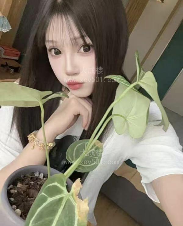 又萝又御的汉口小妹